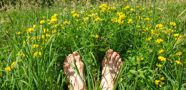 Réflexologie Plantaire : Soulagement de la Douleur et du&nbsp;Stress